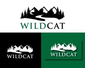 Wildcat entry by BaharAli