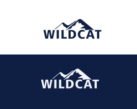 Wildcat entry by juon suprihanto