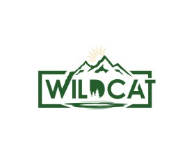 Wildcat entry by bartous khalid