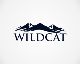 Wildcat entry by rinayuliana