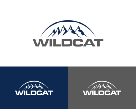 Wildcat entry by grandtusif