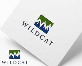Wildcat entry by D satriani