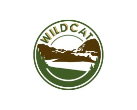 Wildcat entry by bartous khalid