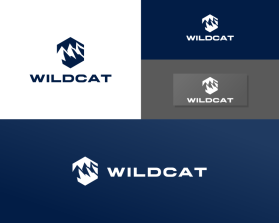 Wildcat entry by ENJANG RUDIANA