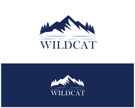 Wildcat entry by MUHAMMAD TAUFIQ