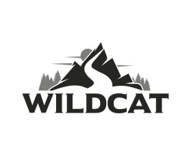 Wildcat entry by Norberto Enrique Perez Viloria