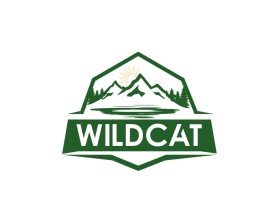 Wildcat entry by bartous khalid