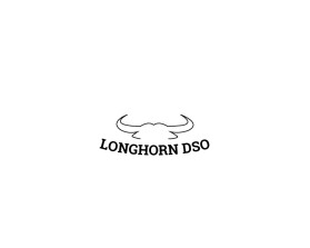 Longhorn DSO entry by Mirza