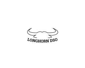 Longhorn DSO entry by Mirza