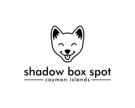 Shadow Box Spot entry by Kang okim