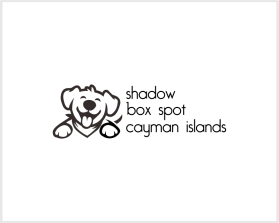 Shadow Box Spot entry by Billahi
