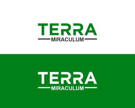 Terra Miraculum entry by zudyes