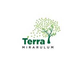 Terra Miraculum entry by PhilipH