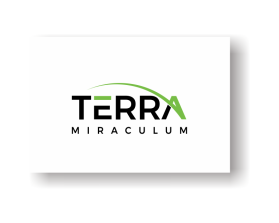 Terra Miraculum entry by jonjon