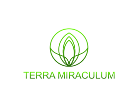 Terra Miraculum entry by Kang okim