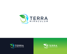 Terra Miraculum entry by Fani_studio