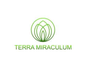 Terra Miraculum entry by Kang okim