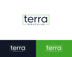 Terra Miraculum entry by Fani_studio