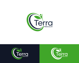 Terra Miraculum entry by Fani_studio