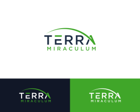 Terra Miraculum entry by Fani_studio