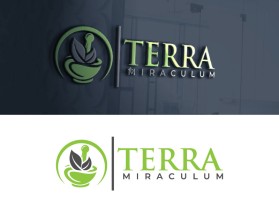 Terra Miraculum entry by BaharAli