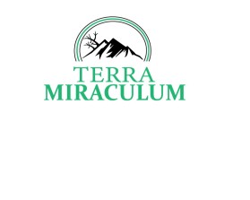 Terra Miraculum entry by Ochimmate