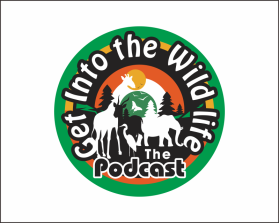 Get Into the Wildlife entry by Rosita