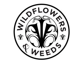 Wildflowers & Weeds / Wildflowers and Weeds entry by Ilham Fajri