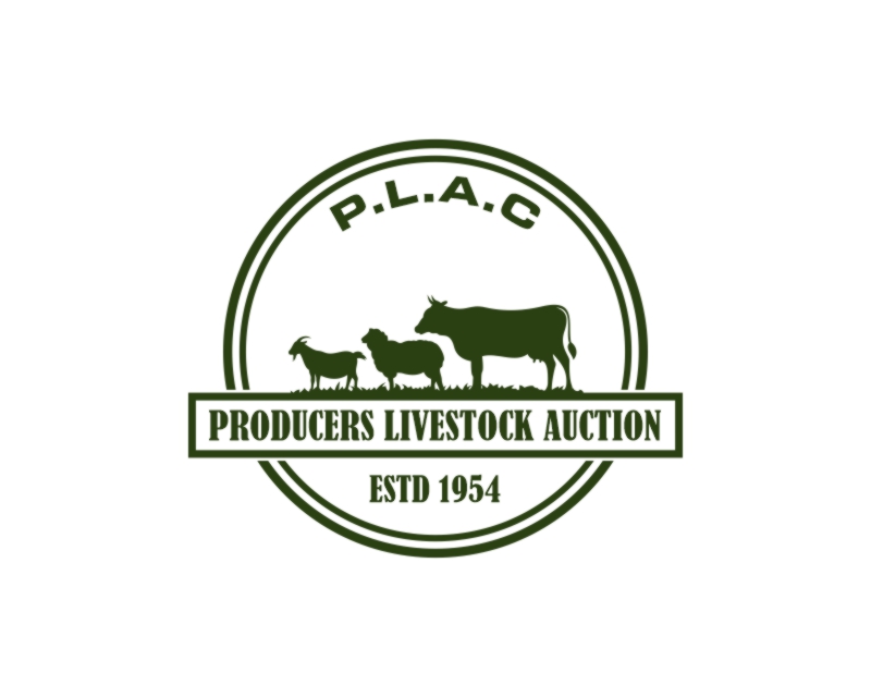 Logo Design for Producers Livestock Auction