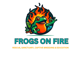 Frogs on Fire entry by Owais Abbas