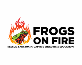 Frogs on Fire entry by inka
