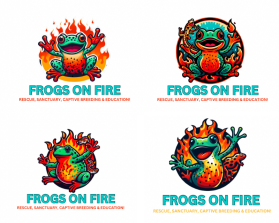 Frogs on Fire entry by Owais Abbas