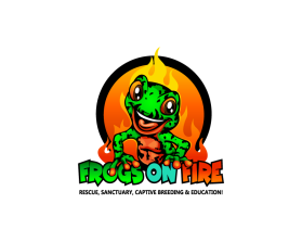 Frogs on Fire entry by Nikho Zholeh