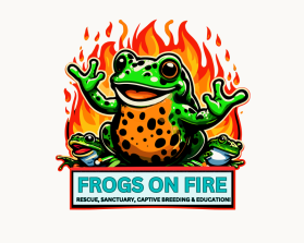 Frogs on Fire entry by Owais Abbas