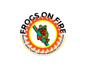 Frogs on Fire entry by NOVIN JOSEPH
