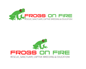 Frogs on Fire entry by Jikesh Bhattrai