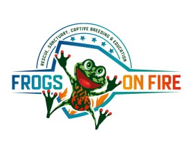 Frogs on Fire entry by bartous khalid