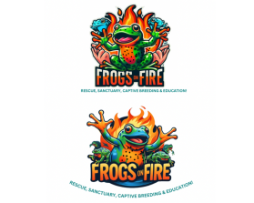 Frogs on Fire entry by Owais Abbas