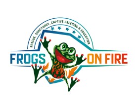 Frogs on Fire entry by bartous khalid
