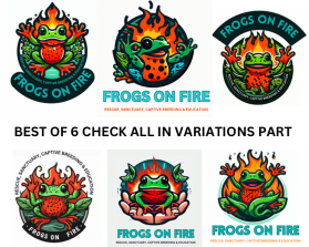 Frogs on Fire entry by Owais Abbas