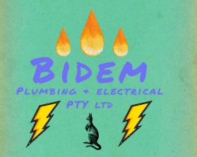 BIDEM PLUMBING AND ELECTRICAL PTY LTD entry by RainyDayWriter