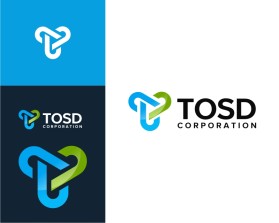 TOSD Corporation entry by TERION