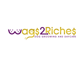 Wags 2 Riches entry by Stephen Nzomo
