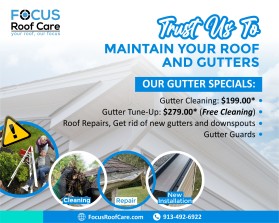 FocusRoofCare.com entry by AllFind Design