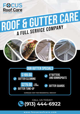 FocusRoofCare.com entry by boukeroui
