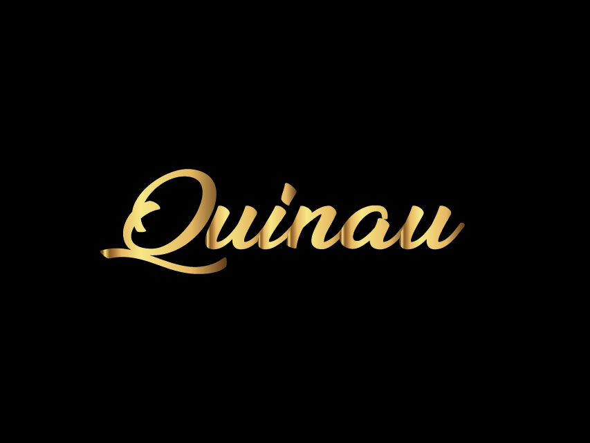 Logo Design for Quinau