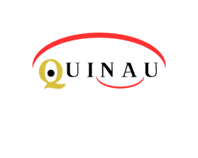 Quinau entry by Laik Siddiqui