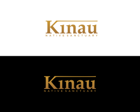 Kinau entry by muhamad mamd