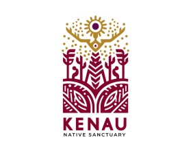 Kinau entry by an anonymous creative