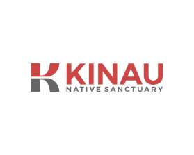 Kinau entry by Endra